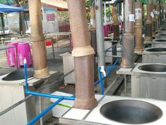 -广东花都香草世界旅游度假区