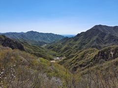 -大岭沟猕猴桃谷风景区