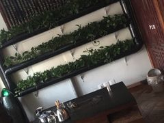 -孙三拨按摩拨筋(五一路店)