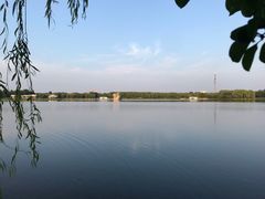 -大兴滨河森林公园