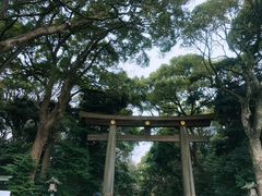 -台场海滨公园船码头