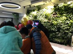 -引领英语·成人口语·雅思托福
