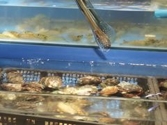 -鲜货俚鲜火锅(青果路店)