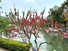 -西湖公园(鼓楼区)
