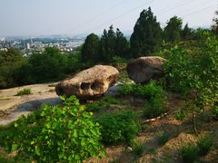 -白水寺森林公园