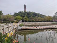 -顺峰山公园