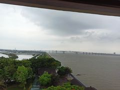 -大湾区中央湿地公园