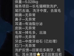 -momokira米努特·德文卷毛猫·棉花面纱犬