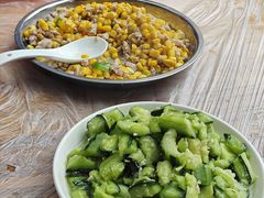 -食神又名厕所兔