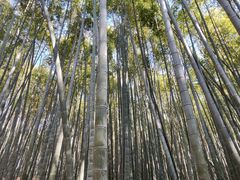 -同里国家湿地公园