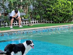 -汪说喵讲宠物乐园宠物酒店(红星美凯龙店)