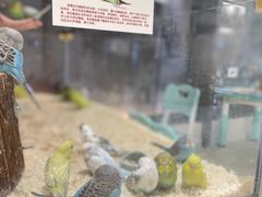 -怪兽屋·羊驼·猫咖·狗咖(俊华广场店)