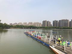 -南翔镇银翔湖公园