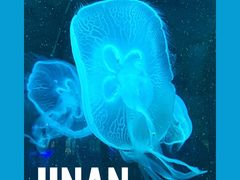 -泉城欧乐堡海洋极地世界