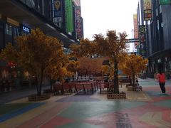 -江燕路万科里