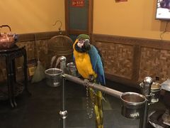 -那家小馆•北京菜•烤鸭(中关村店)