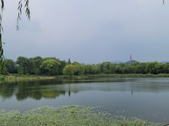 -北坞公园