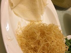 -丁老爷子苏香圆