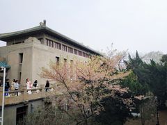-武汉大学-樱园