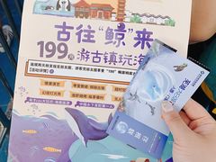 -芜湖新华联大白鲸海洋公园