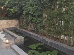-汤宴·参须肚包鸡(南京路店)