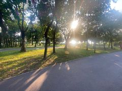 -立新湖公园