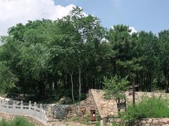 -阳台山自然风景区