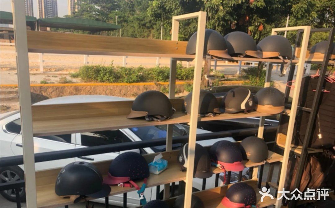 小众运动✔马术🏇🏻