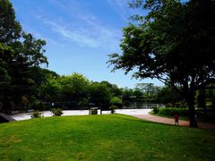 -王借岗森林公园
