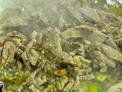 -蜀膳坊(洪公祠小区店)