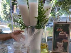 -探窝·竹笙椰子鸡(杨箕店)