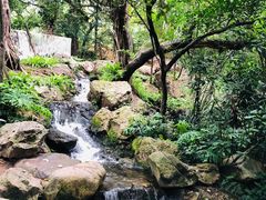 -广州兰圃