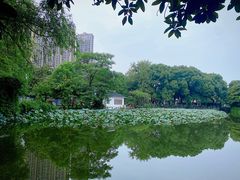 -沙市市中山公园