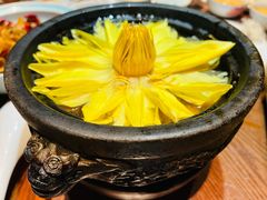 出水芙蓉-映水芙蓉(长宁来福士店)