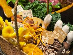 -大龙燚·旷野鲜火锅(广州首店)