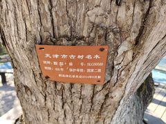 -吉姆冒险世界(蓟州店)