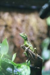 -酷嗒动物文化乐园(cutezoo西溪乐天城店)