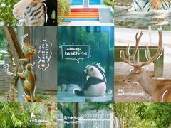 -五龙山野生动物王国