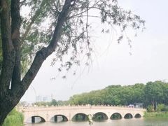 -昆山城市生态森林公园