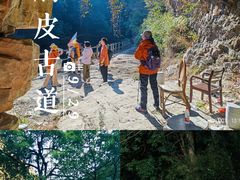 -午潮山国家森林公园