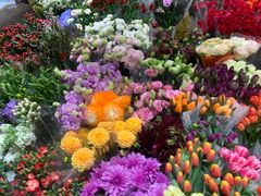 -双季花艺园艺市场(浦东店)
