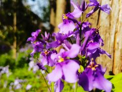 -停车场(临桂路)