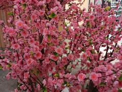 -美航国际健身(北京华联店)