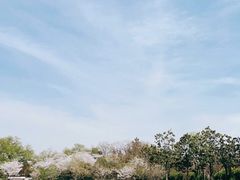 -红梅公园