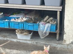 -葑门横街