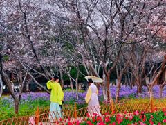 -白塘生态植物园