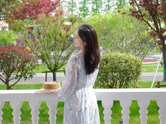 -黄海国家森林公园