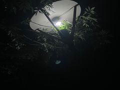 -郎出山烧烤(胶州店)