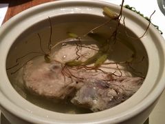-MR鹅外