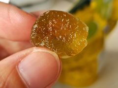 -全家便利店(襄阳南路店)